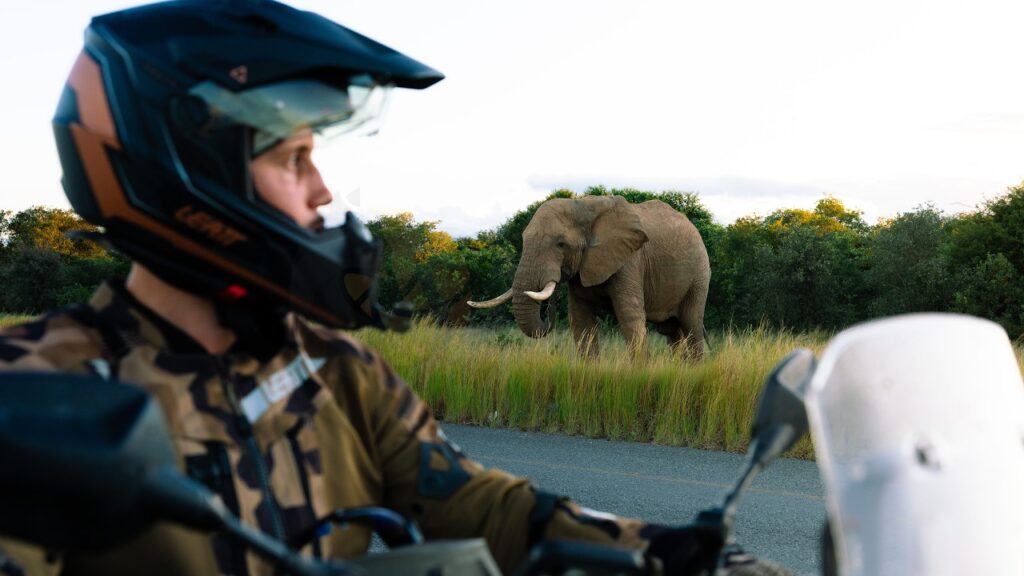 We almost crashed into an elephant | Crossing Africa Ep8